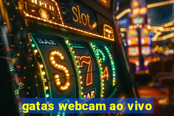 gatas webcam ao vivo
